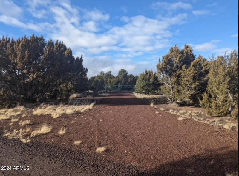 Screenshot 2024-05-19 at 4.32.13PM