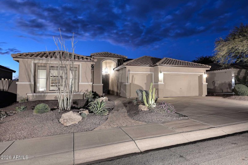 Professionally Landscaped Yard