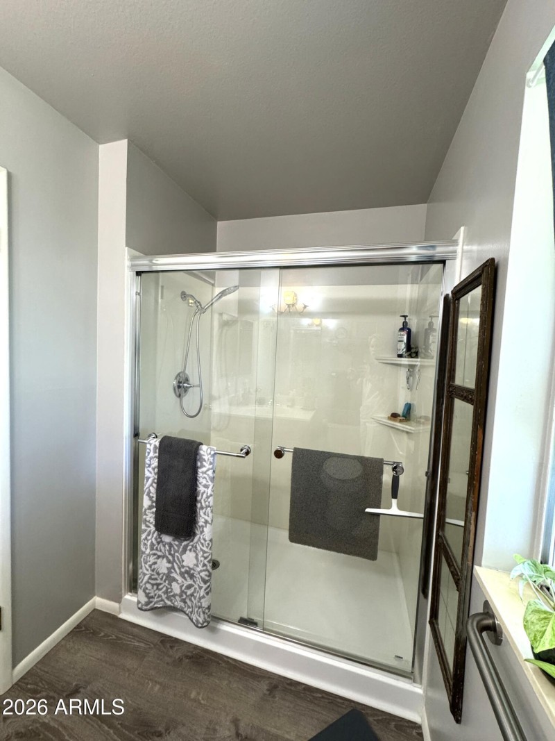 Main bath shower