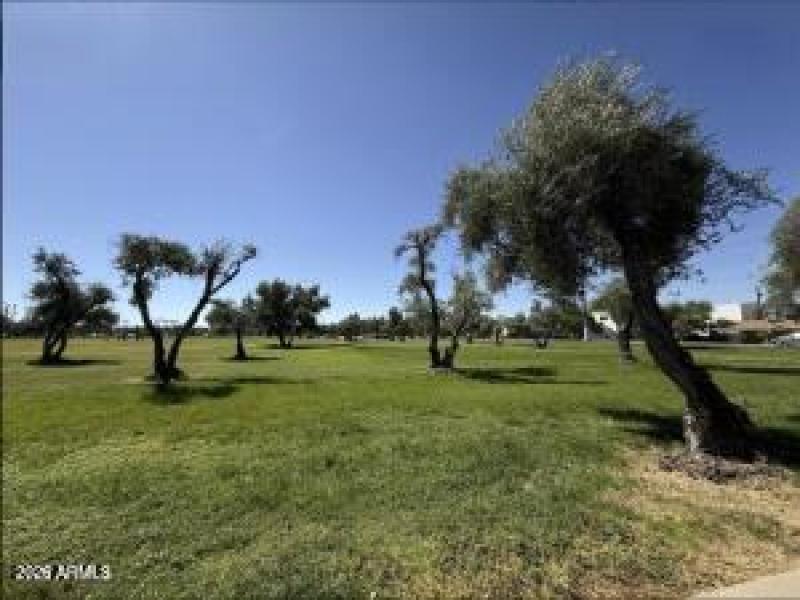 Los Olivos Park is 1 block away!