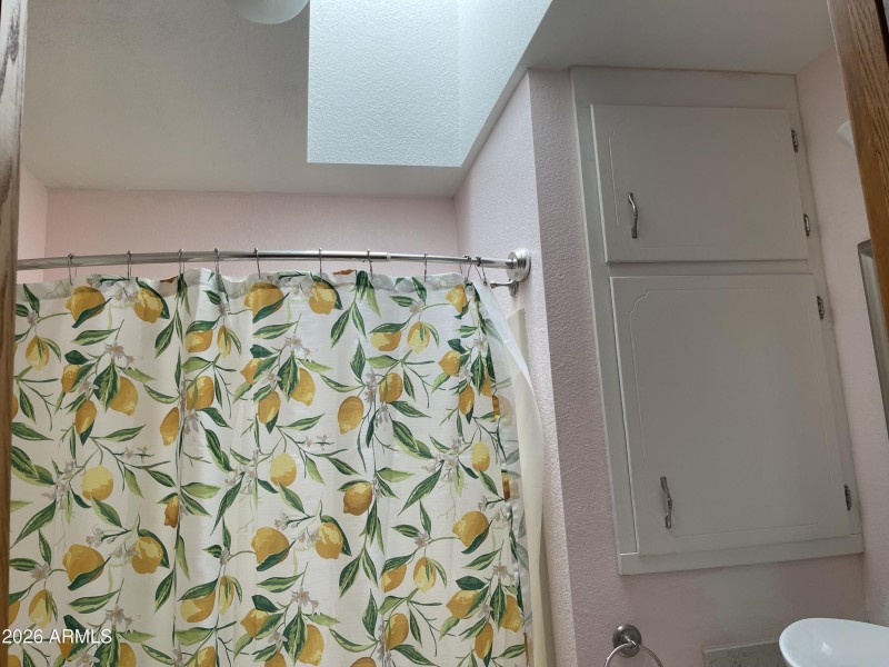 Skylight in main bath