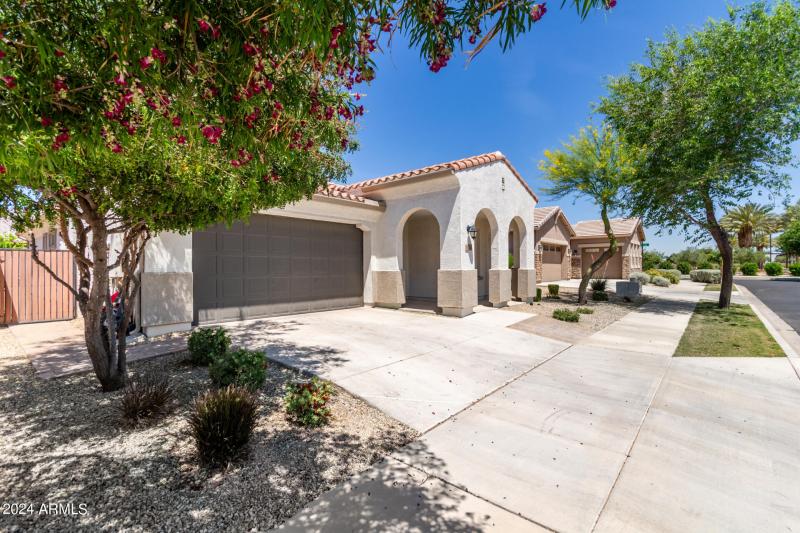 0006-05 - Tumbleweed