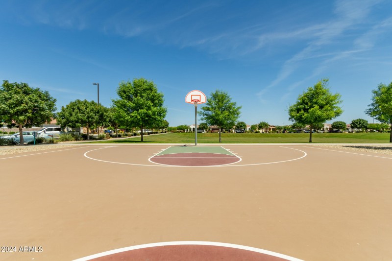 0042-41 - Tumbleweed