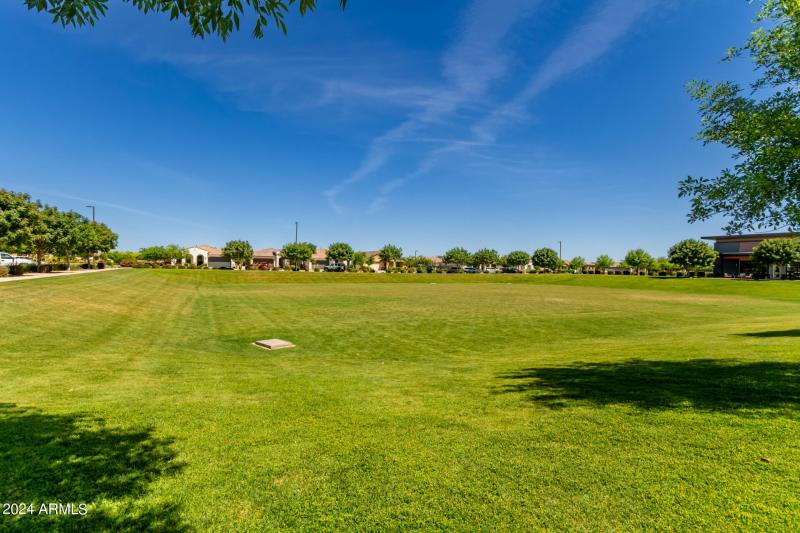 0041-42 - Tumbleweed