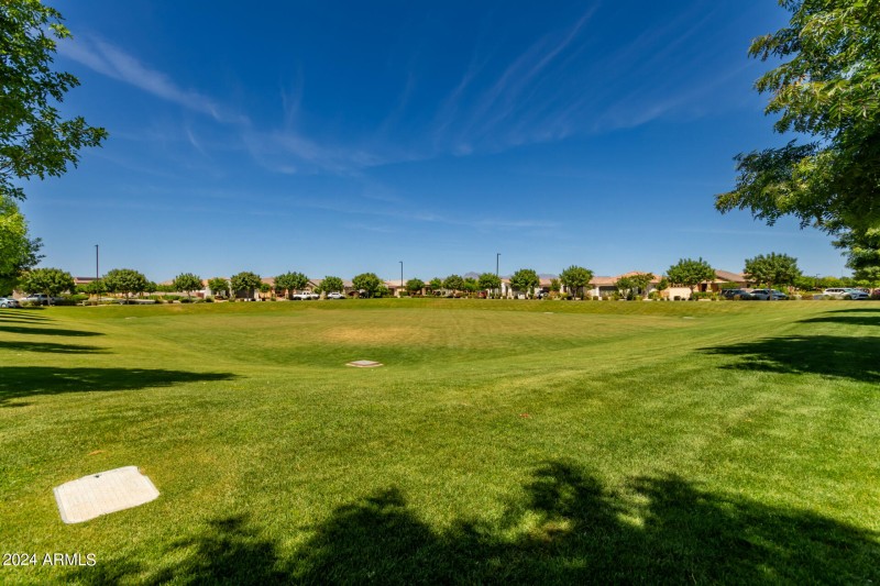 0045-45 - Tumbleweed