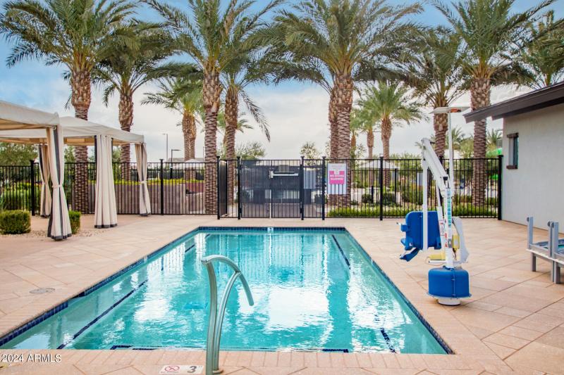 0046-46 - Tumbleweed