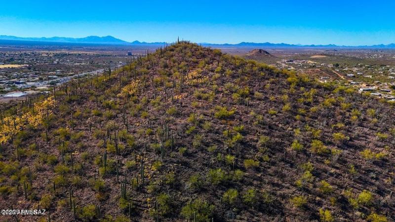 20250130032436868616000000-o (1)