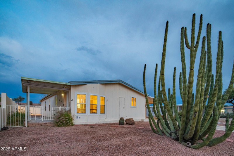 wyattrootimagaing_S88-51