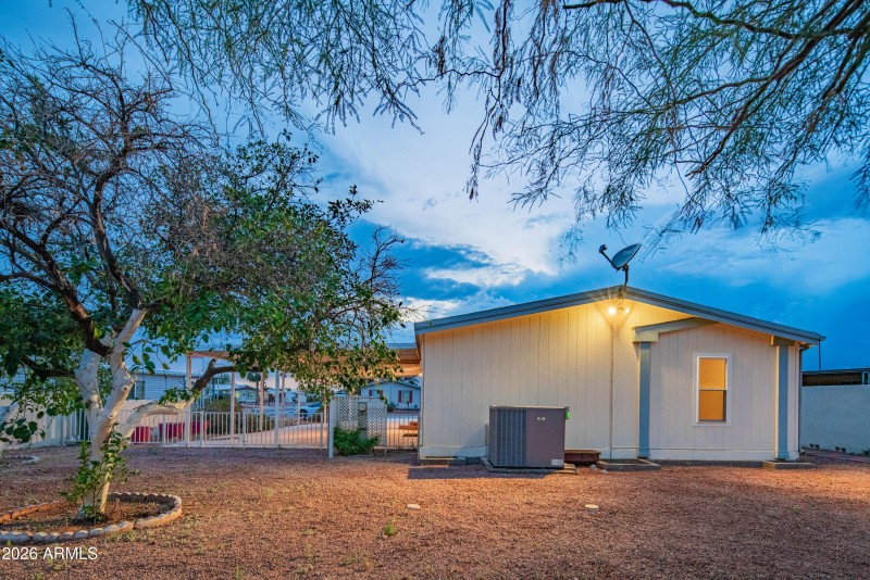 wyattrootimagaing_S88-55