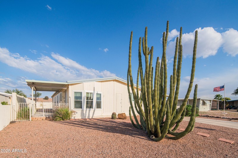 wyattrootimagaing_S88-3