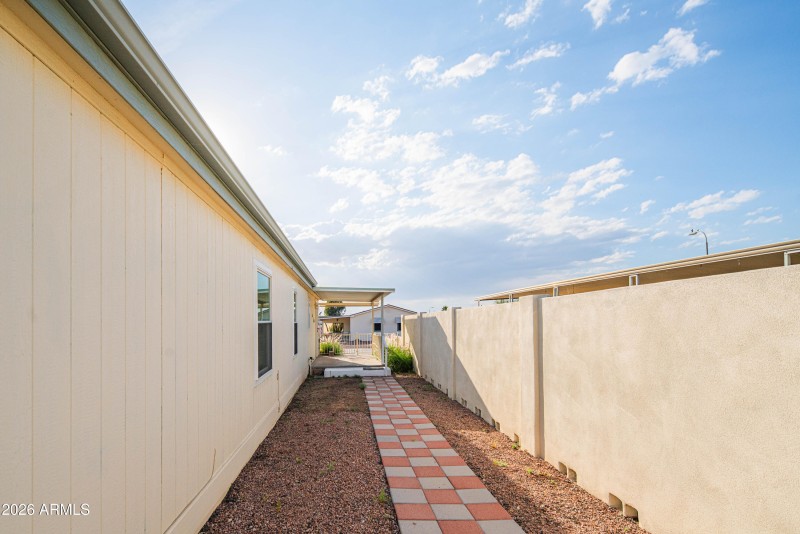 wyattrootimagaing_S88-13