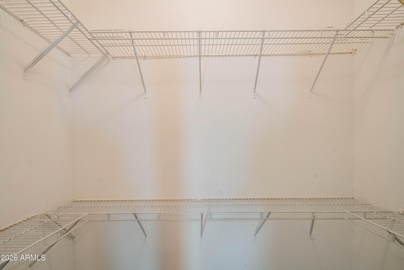 wyattrootimagaing_S88-38