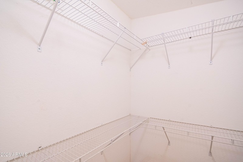 wyattrootimagaing_S88-47