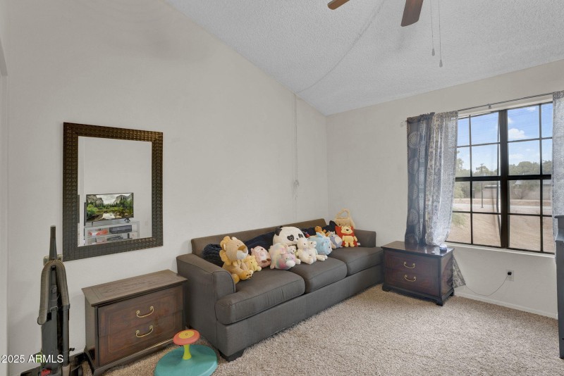 25-web-or-mls-3491 N Arizona #83 -16