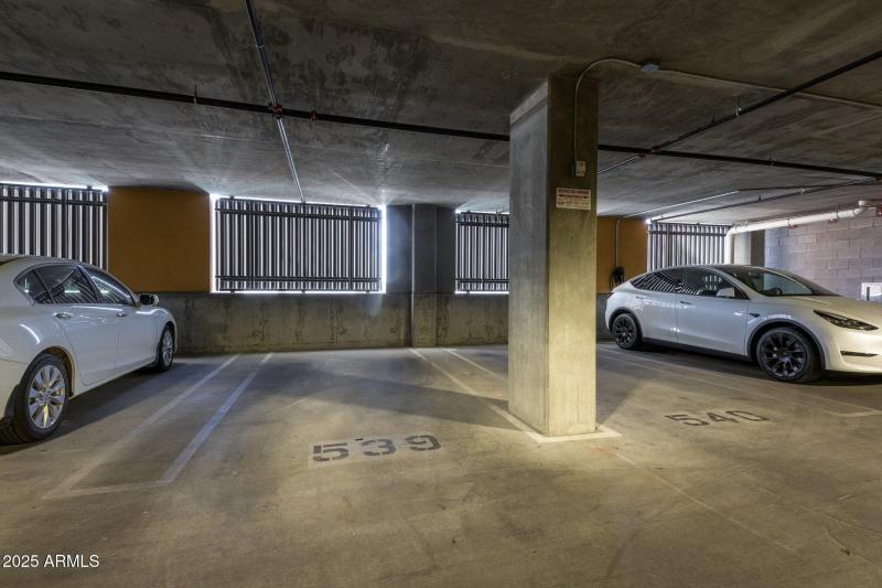 17-web-or-mls-7D3A9548