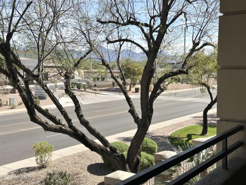 Patio view- North Facing