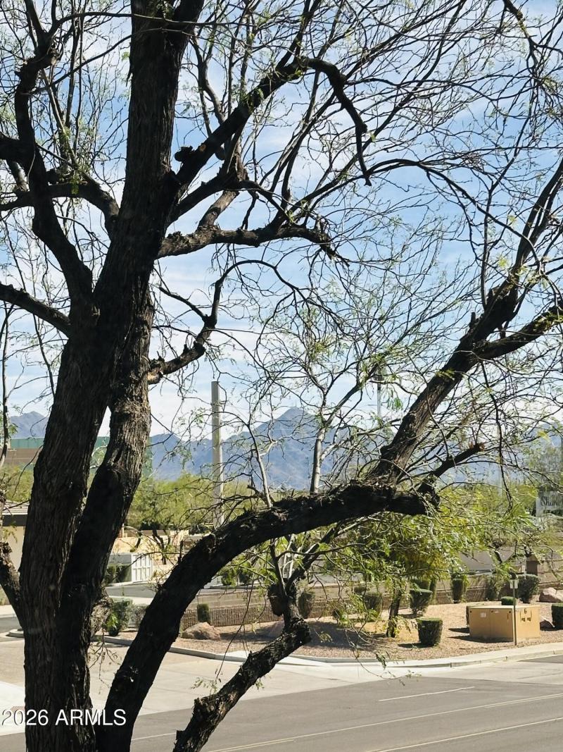 View from living room