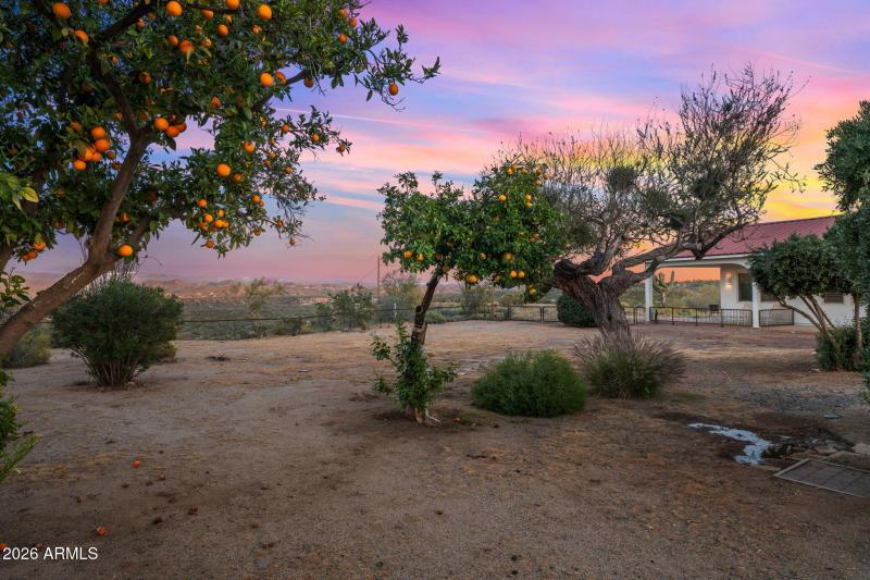 122-web-or-mls-DSC09548