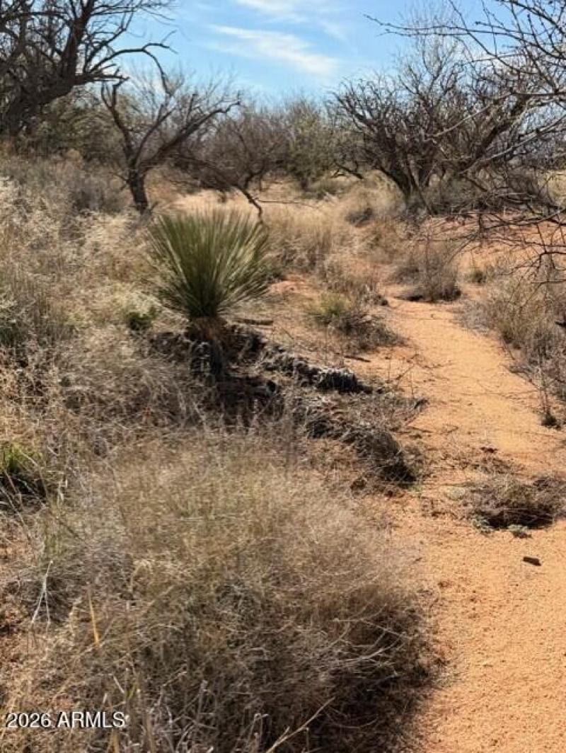 b75adbc7-9f8c-4a67-a403-463982c742ed