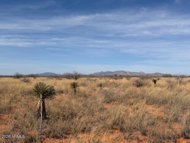 b53912d3-1523-402f-af67-733ec96eb50a