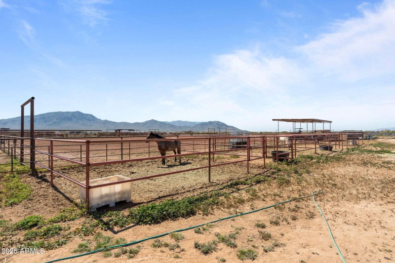 31-web-or-mls-DSC07921