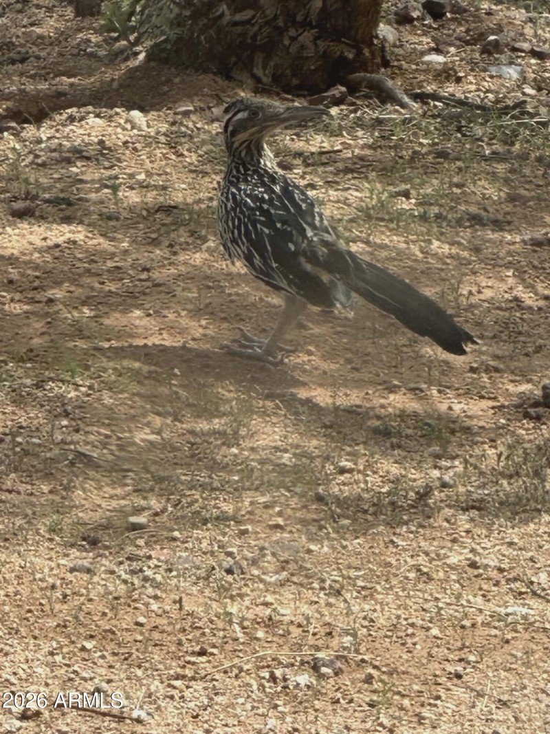 Natures Beauty Visit