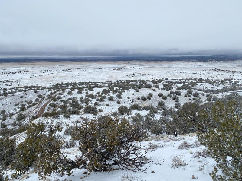 6) 68654-69b0c29889f74