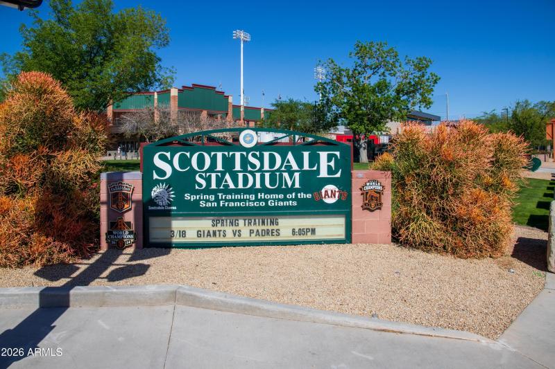 Spring Training