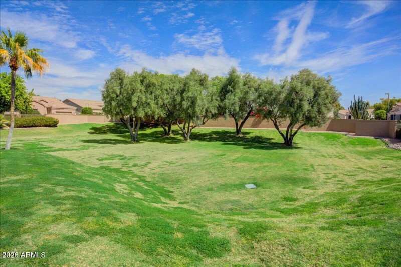 29-Community Green Space