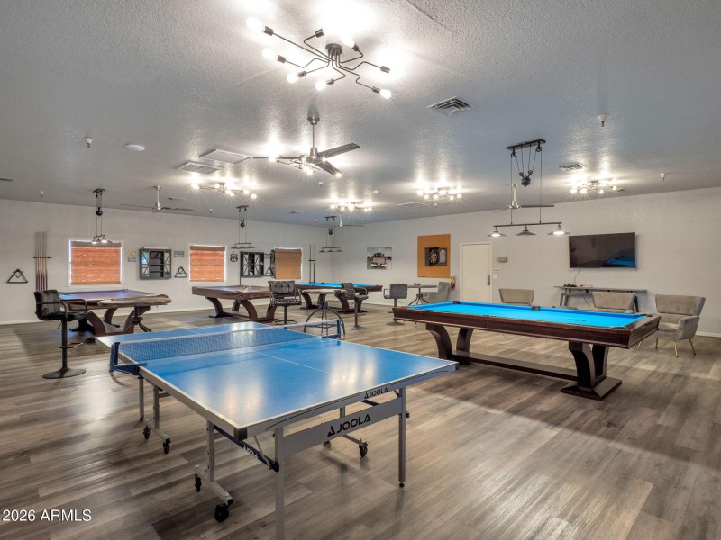 Ping Pong_Billard Area