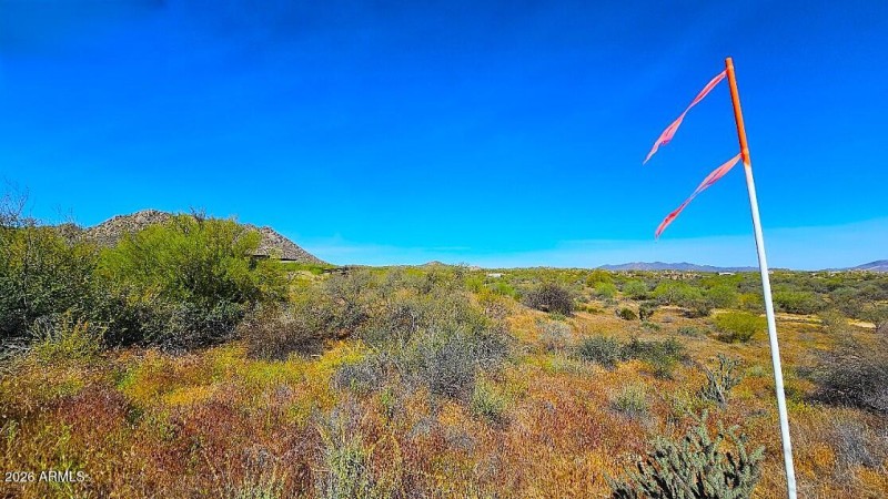 Looking N.E. from the S.E. corner