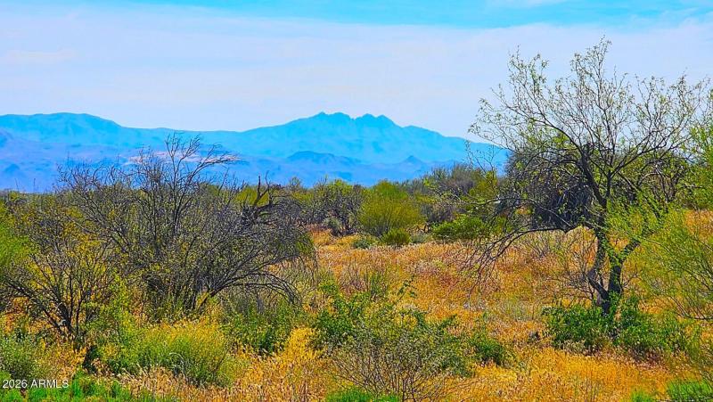 Views of 4 Peaks to the East