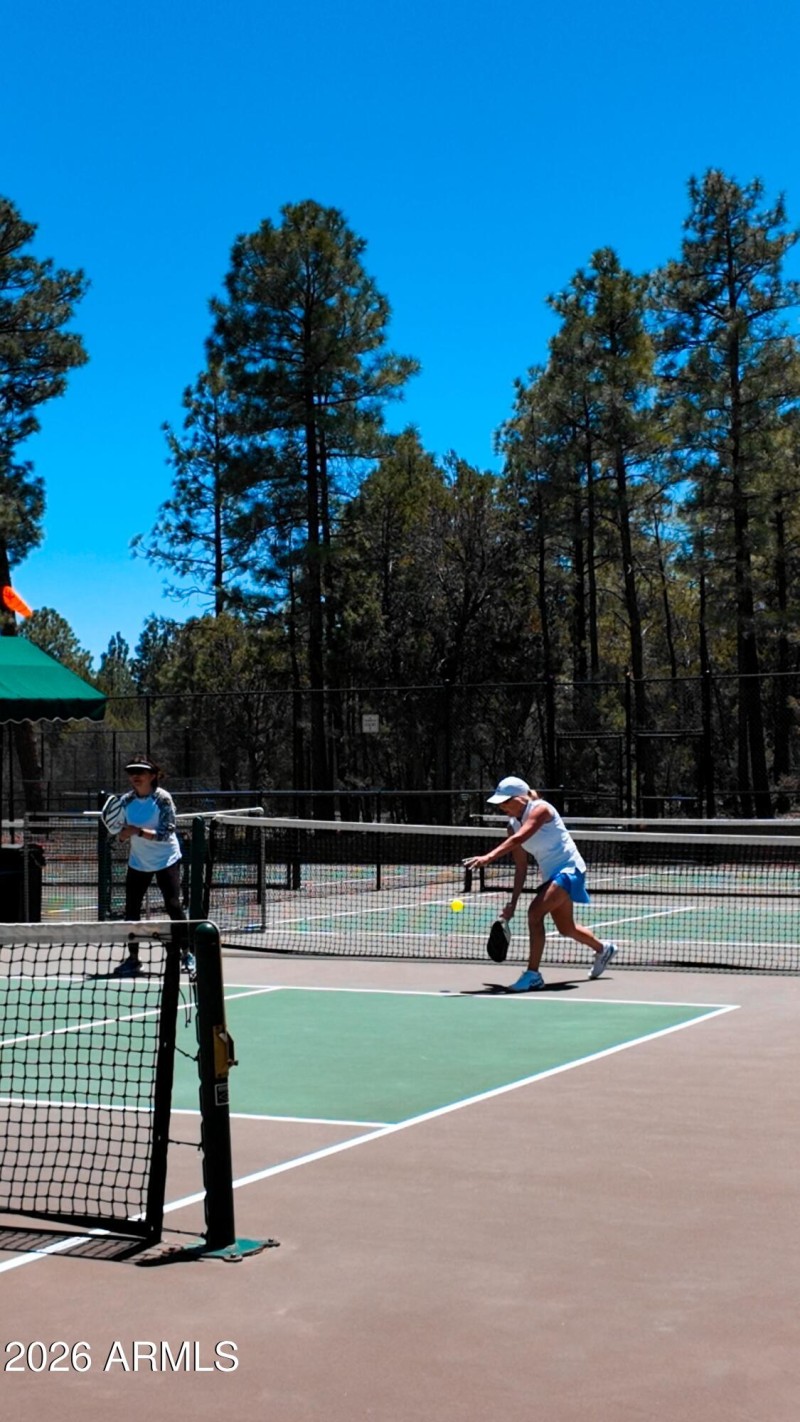 pickleball 1