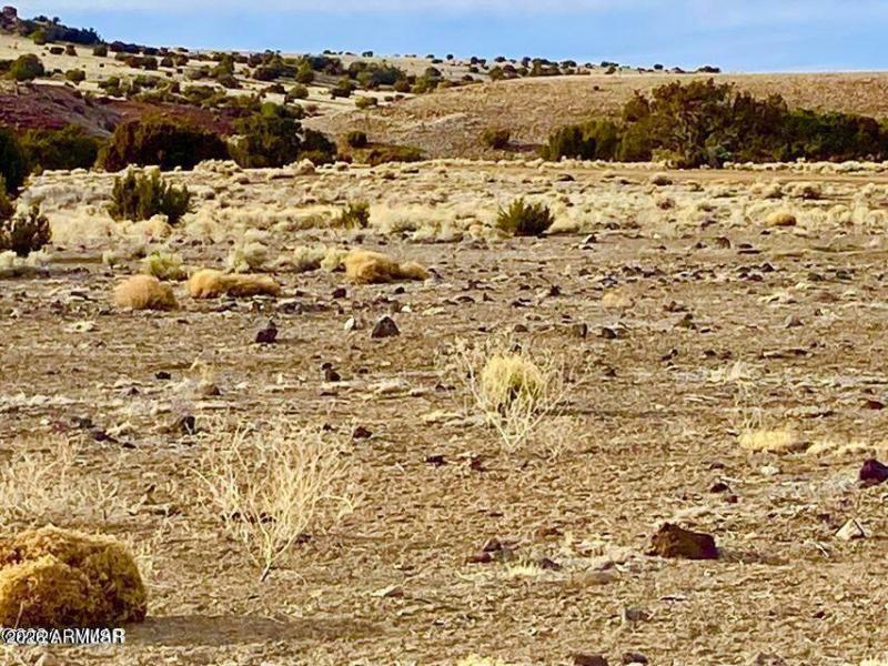 20260312065456711301000000-o