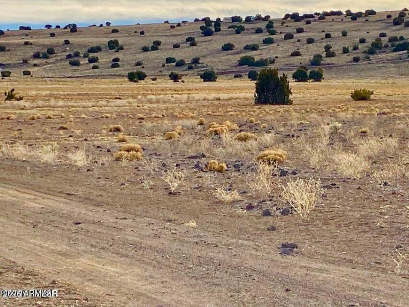 20260312065619750964000000-o