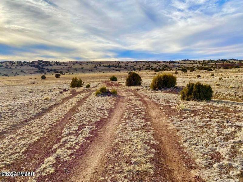 20260312065718394006000000-o