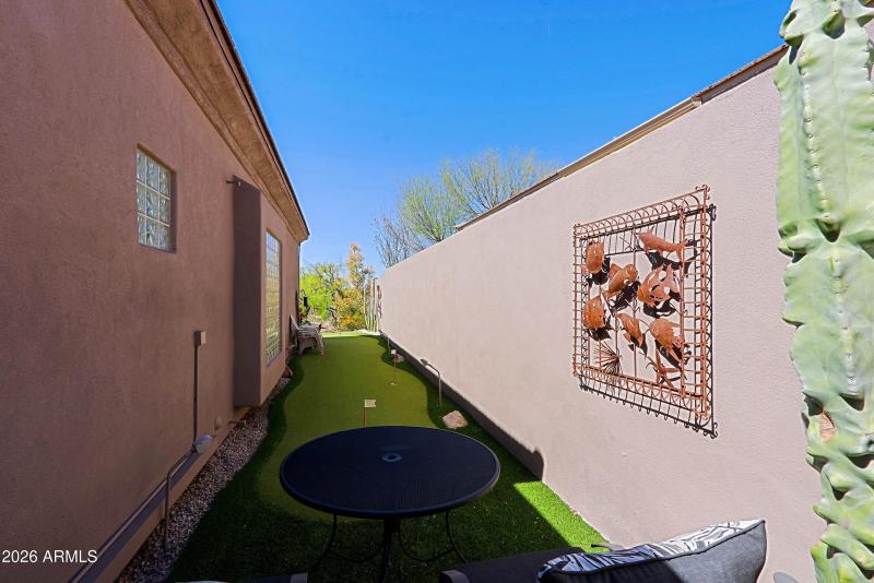 Backyard 17