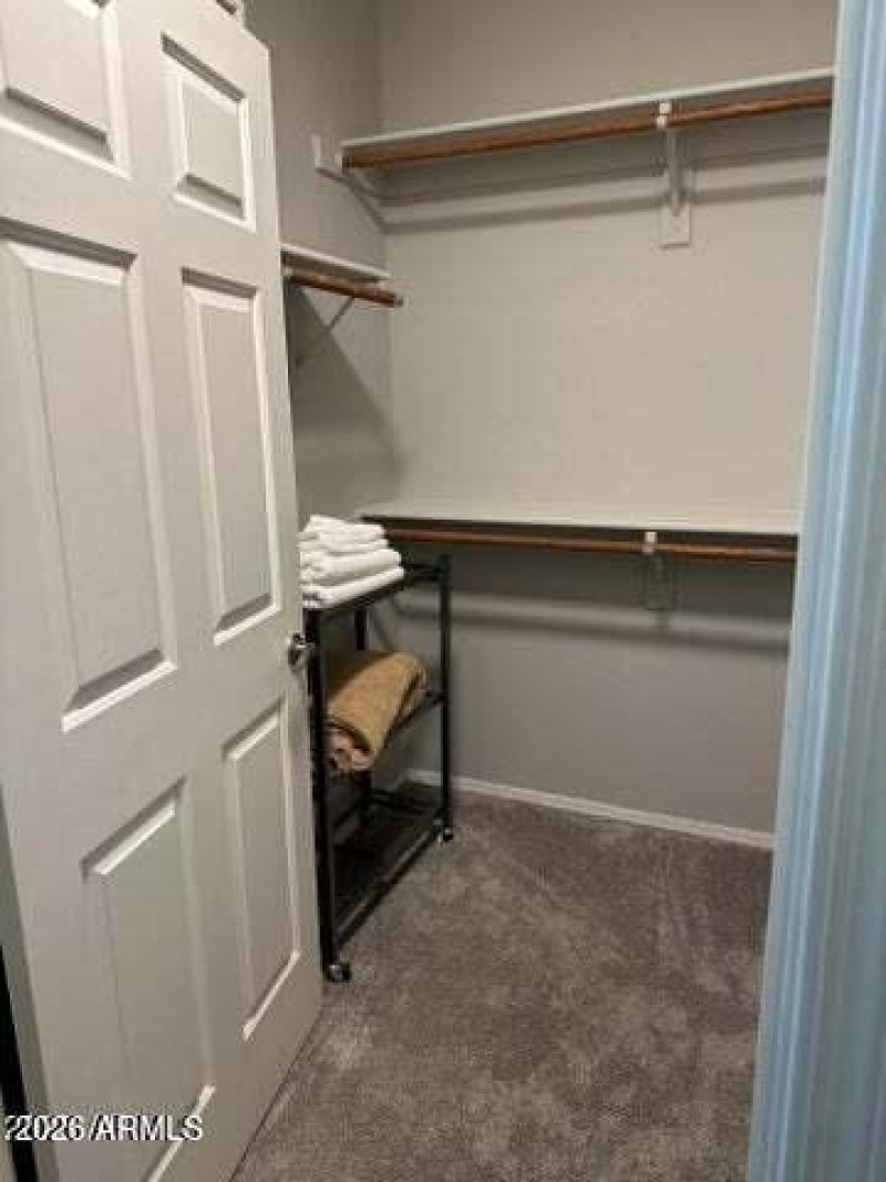 9100 raintree master closet