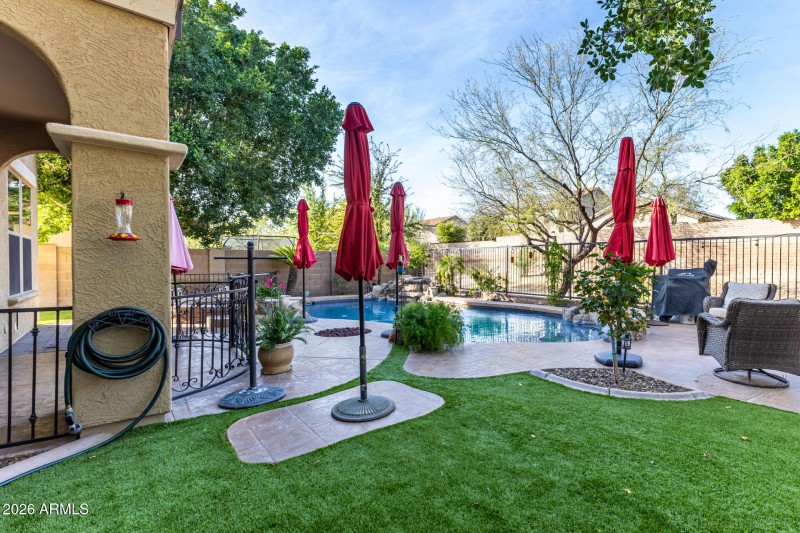 Stunning Backyard with Pool and Spa