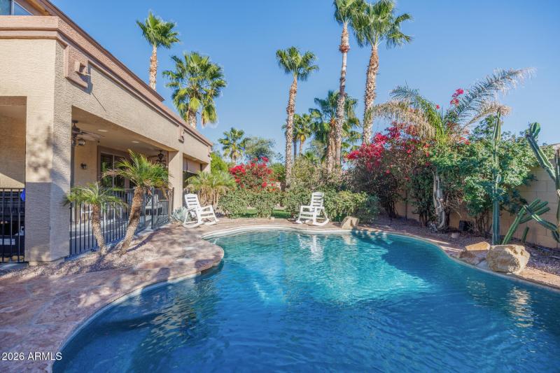 311 W Blue Lagoon - Back Yard Pool 4