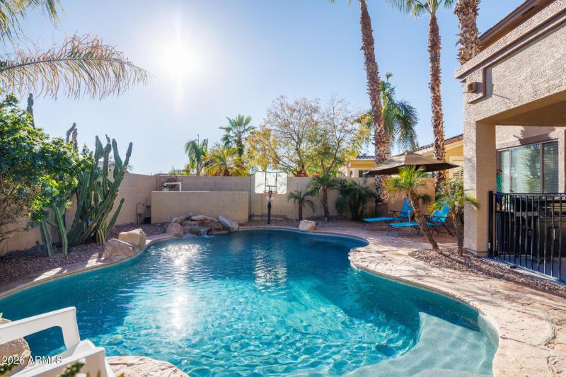 311 W Blue Lagoon - Back Yard Pool 1