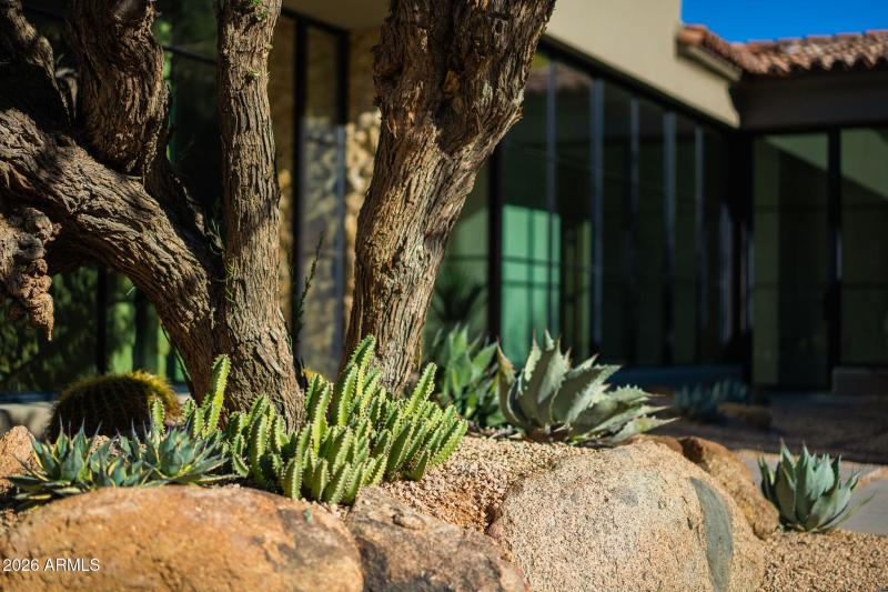 Beautiful Desert Landscape