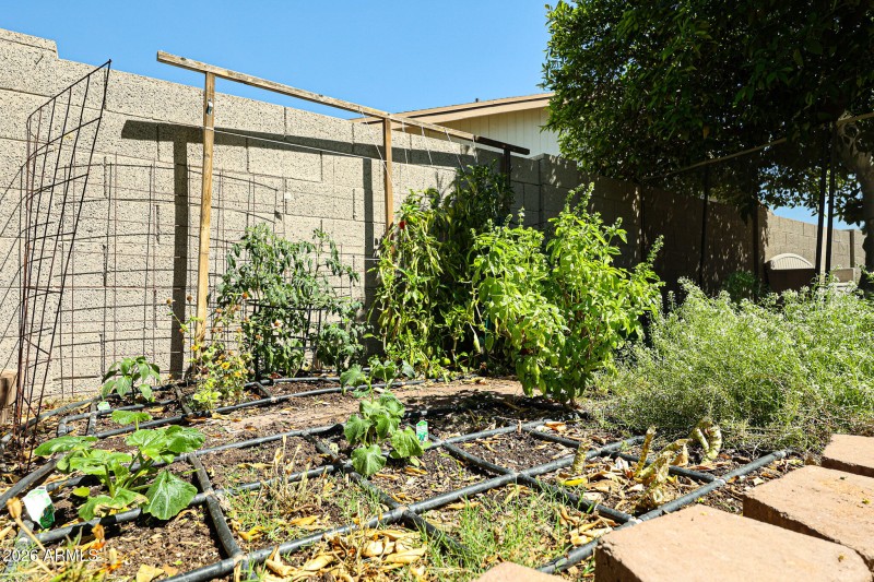 Established fertile soil