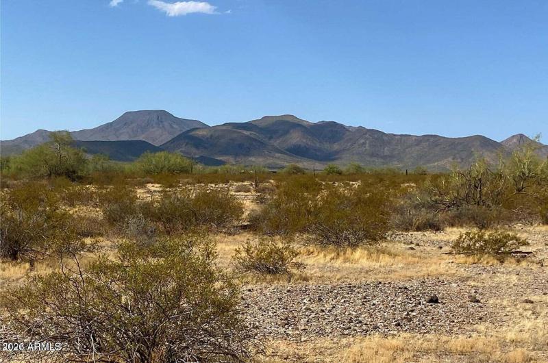 20241029044511191571000000-o