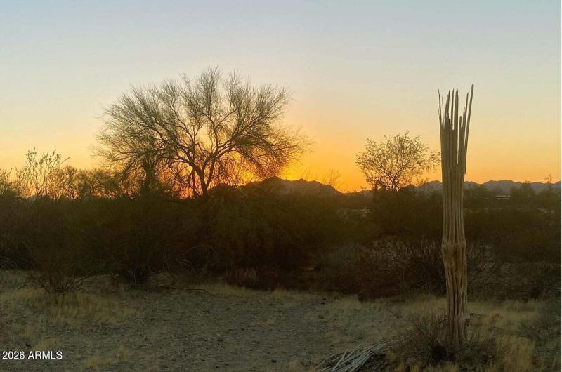 20241029044049282195000000-o