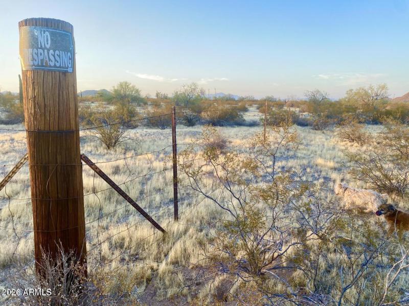 20241030083741532205000000-o