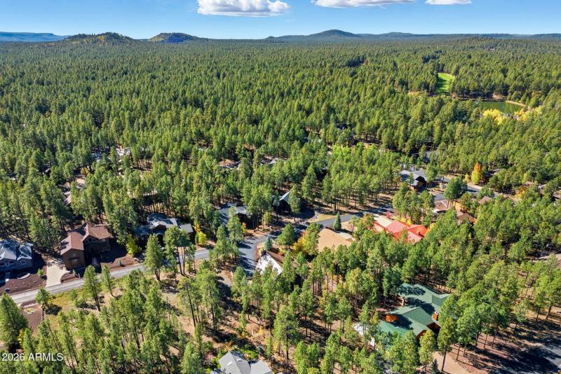 8496PinewoodDr-PinetopAZ-21