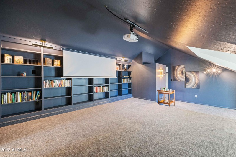 Color-Drenched Library