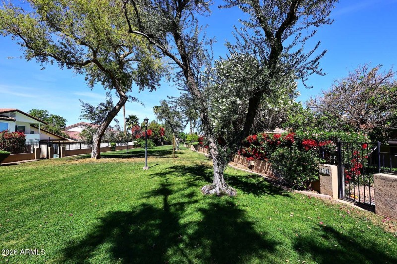 Common Area behind Home2