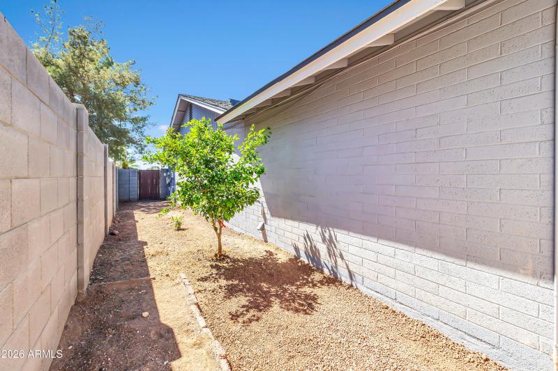 864 W Mesquite St-39